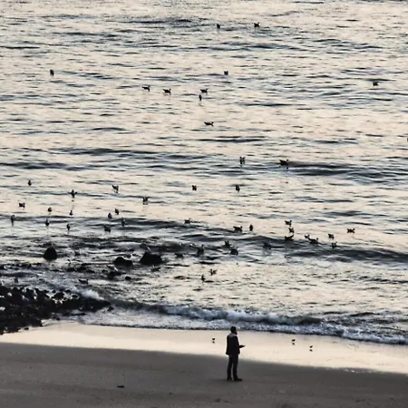 Apartamento Haus Metropol App 108 Mit Meerblick Und Cityblick 3 Balkone